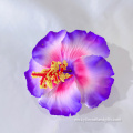 Pilihan Rambut Bunga Hibiscus Foam Hibiscus
